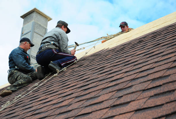 Best Roof Gutter Cleaning  in Belle Chasse, LA